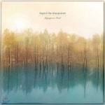 박규연 - Expect the Unexpected - 예스24