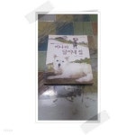 비나리 달이네 집 - YES24