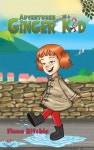 Adventures of a Ginger Kid - 예스24