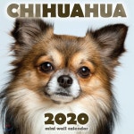 Chihuahua 2020 Mini Wall Calendar - YES24
