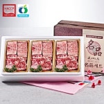 [안심한우] 청정지역 무항생제 찜갈비 2.4kg - 예스24