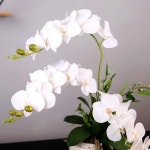 가드닝/플라워 - 예스24