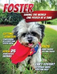Foster: Saving the World One Pooch at a Time or 10 Other Ways You Can Help! - 예스24