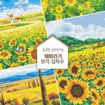 해바라기 보석십자수 (40 X 40, 40 X 50) | 서울미디어(업체) - 예스24