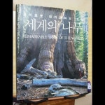  세계의 나무 - YES24  세계의 나무 - YES24