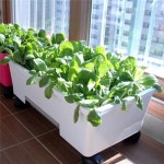 플라팜 베란다텃밭 오가닉화분 이동식 아파트 베란다 | 플라팜 | 주식회사 에스엘미디어넷 - 예스24