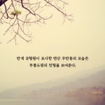 조선의 유토피아 십승지를 걷다 - 예스24