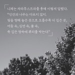 나무처럼 생각하기 | 자크 타상 | 더숲 - 예스24