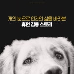 [전자책] 레이싱 인 더 레인 | 가스 스타인 | 쌤앤파커스 - 예스24