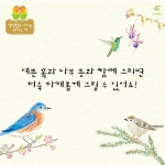 색연필로 그리는 귀여운 새 | 아키쿠사 아이 | 도서출판이종 - 예스24