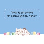 첫 영어 그림책 - 예스24