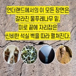 언더랜드 - 예스24