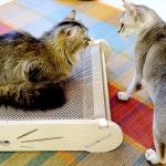 엉클펫 자작나무 고양이 망사 스크래쳐 매쉬 해먹 | 고양이매쉬해먹 | 해피툴 - 예스24