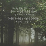 소로의 일기 (전성기편) - 예스24