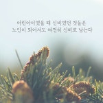 소로의 일기 (전성기편) - 예스24