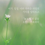 소로의 일기 (전성기편) - 예스24