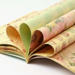 로맨틱 패턴 포장지북 24매 랩핑 선물포장지 | 패턴포장지북 | 비투비월드 - 예스24 로맨틱 패턴 포장지북 24매 랩핑 선물포장지 - 예스24