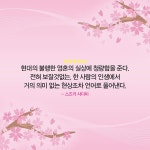 벚꽃나무 아래 - 예스24