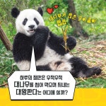 내셔널지오그래픽 키즈 빅북 : 어디? - 예스24