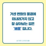 슬기로운 스마트폰 생활 | 문유숙 | 물주는아이 - 예스24