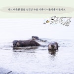 섬진강 수달 가족 이야기 - 예스24