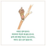 자연의 시간 - 예스24