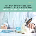 다정함의 과학 | 켈리 하딩 | 더퀘스트 - 예스24
