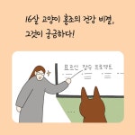 홍조는 묘르신 - 예스24