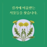 [전자책] 미움받는 식물들 - 예스24 [전자책]미움받는 식물들 - 예스24