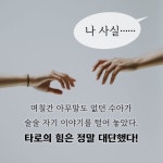 모두의 타로 - 예스24