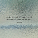 새를 날리며 | 윤형근 | 천년의시작 - 예스24