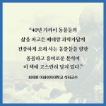 동물들처럼 - 예스24