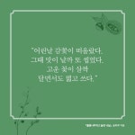 풀꽃나무하고 놀던 나날 - 예스24