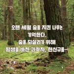 우리 숲을 살린 나무 과학자 현신규 | 유영소 | 마음이음 - 예스24