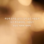 허니비 - 예스24