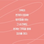 미술관 옆 동물병원 479번지 - YES24