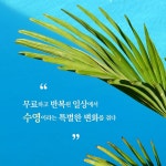 수영장에서 만나요 - 예스24