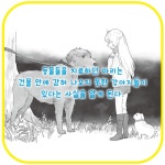 마리의 동물 병원3 | 타티야나 게슬러 | 가람어린이 - 예스24