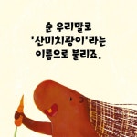 토끼 이야기가 아니야! - 예스24