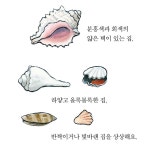 바닷가 작은 집 | 케빈 헹크스 | 행복한그림책 - 예스24