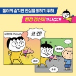 놓지 마 과학! 18 | 신태훈 | 위즈덤하우스 - 예스24