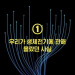 우리 몸은 전기다 - 예스24
