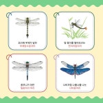 으뜸 비행사 잠자리 | 정광수 | 보리 - 예스24