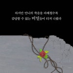 비밀의 집 - 예스24
