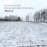 사라진 숲은 어디로 갔을까 | 김덕일 | 상상창작소봄 - 예스24