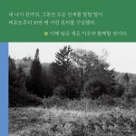 타샤 튜더 나의 정원 | 타샤 튜더 | 윌북(willbook) - 예스24