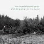 타샤 튜더 나의 정원 | 타샤 튜더 | 윌북(willbook) - 예스24