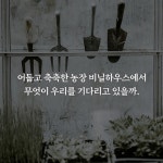 버섯 농장 - 예스24