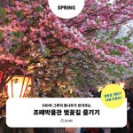 무작정 따라하기 오사카 | 오원호 | 길벗 - 예스24