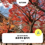 무작정 따라하기 오사카 | 오원호 | 길벗 - 예스24